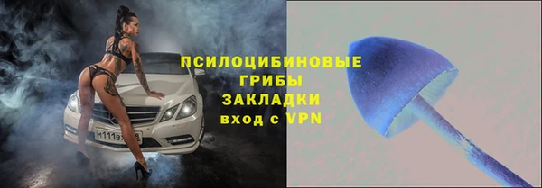 амф Абдулино