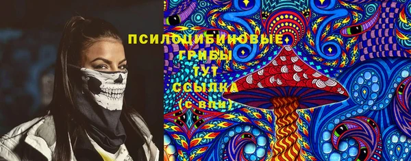 ешки Алексин