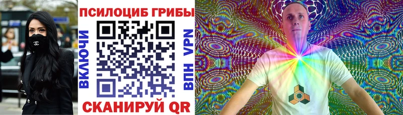 Псилоцибиновые грибы Psilocybine cubensis  хочу   гидра зеркало  Моздок 